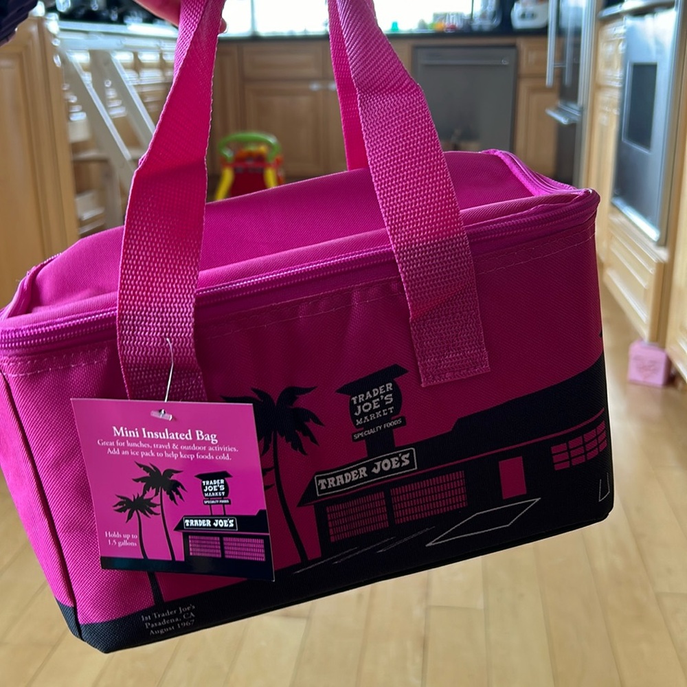 Trader Joe’s MINI Insulated tote
